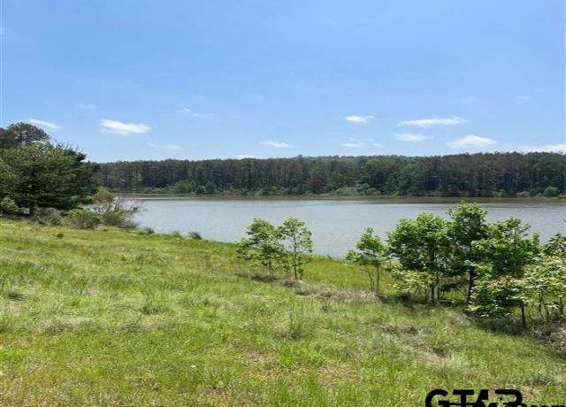 Property at Lot 12 Acr 450, Montalba, TX 75853