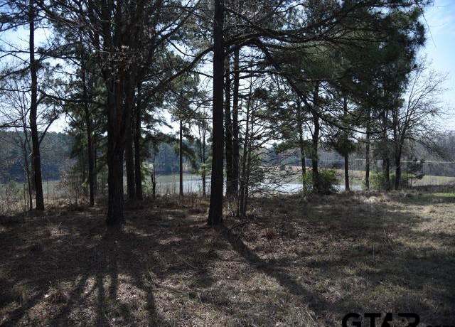 Property at Lot 13 Acr 450, Montalba, TX 75853