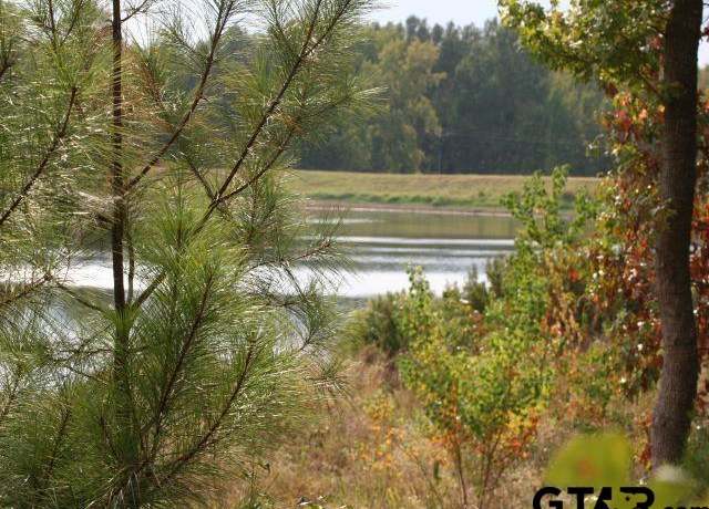 Property at Lot 17 Acr 453, Montalba, TX 75853