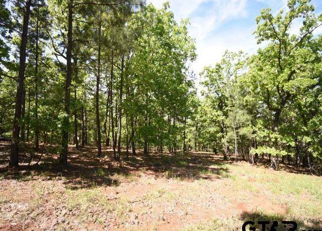 Property at Lot 22 Acr 453, Montalba, TX 75853