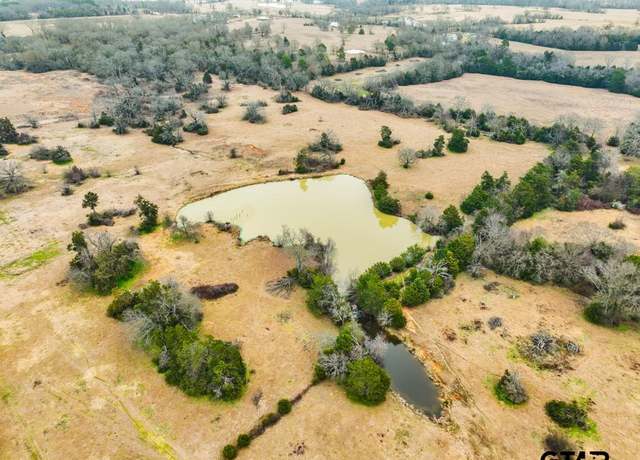Property at 000 State Hwy 110 ( Tbd), Van, TX 75790