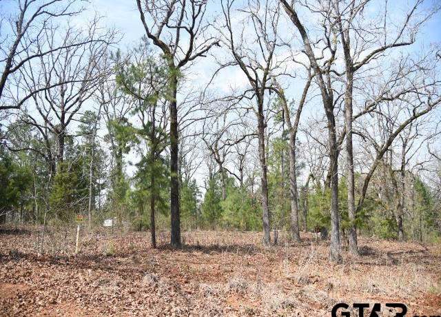 Property at Lot 25A Acr 453, Montalba, TX 75853