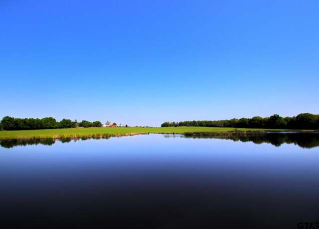 Property at TBD Fm 17, Grand Saline, TX 75140