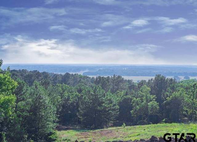 Property at Lot 30 Acr 453, Montalba, TX 75853