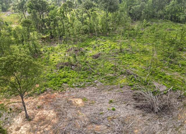 Property at TBD County Road 4135, Overton, TX 75684