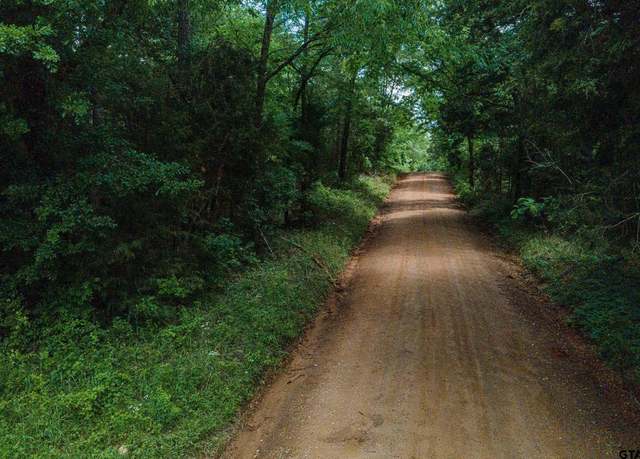 Property at 4680 CR 3405 (4 Acres), Bullard, TX 75757