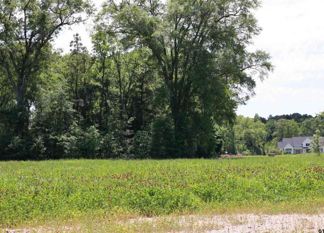 Property at TBD Gatlinburg Rd, Bullard, TX 75757