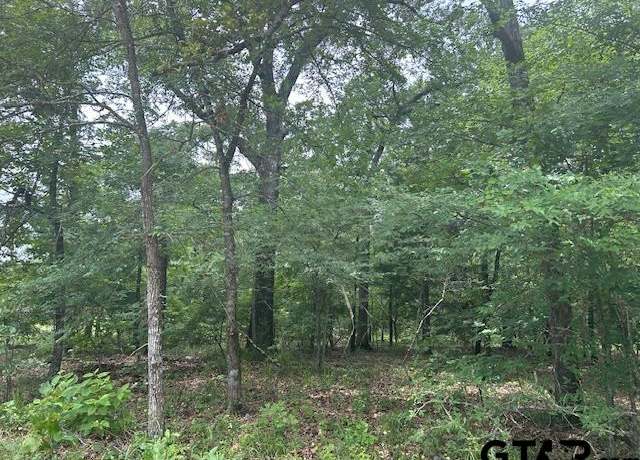 Property at TBD Vzcr 1712, Grand Saline, TX 75140