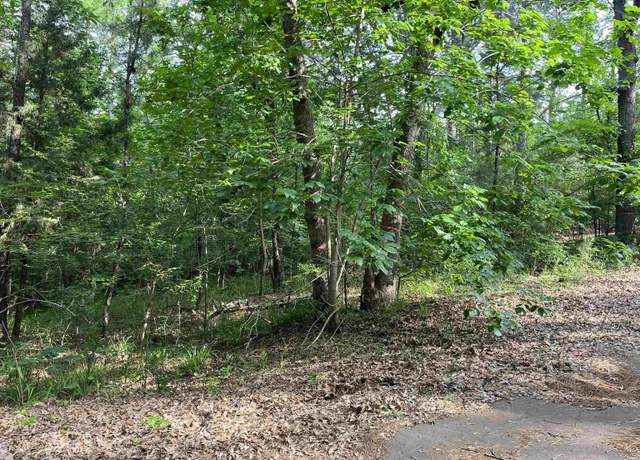 Property at lot 147 Silver Oaks Dr, Flint, TX 75762