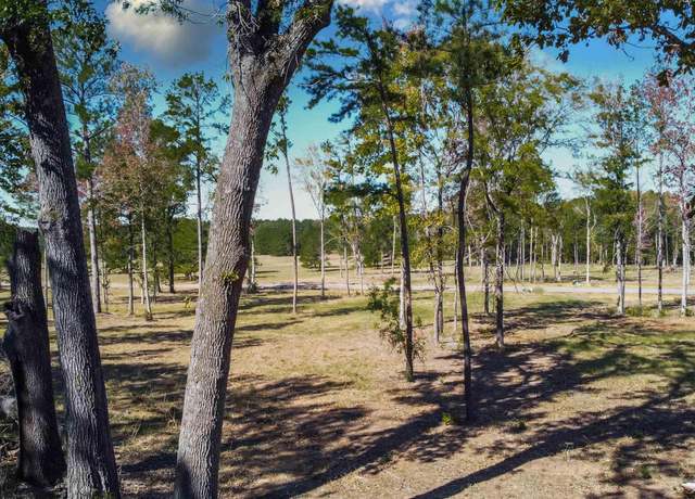 Property at 15922 Aniston Ln - (lot 20) Ln, Flint, TX 75762