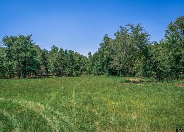 Property at TBD (23400) CR 244 Tract 4, Overton, TX 75684