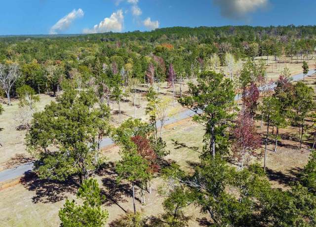 Property at 15640 Aniston Ln - (lot 25) Ln, Flint, TX 75762