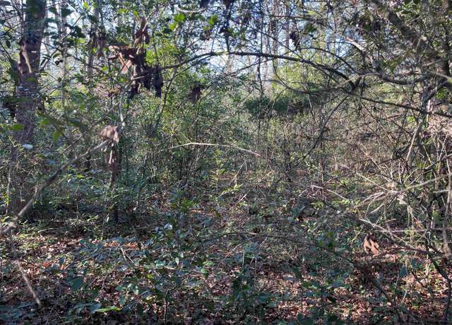 Property at TBD W Bent Bow Ln, Holly Lake Ranch, TX 75765
