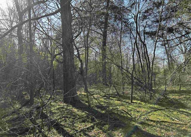 Property at TBD Cr 3324, Pittsburg, TX 75686