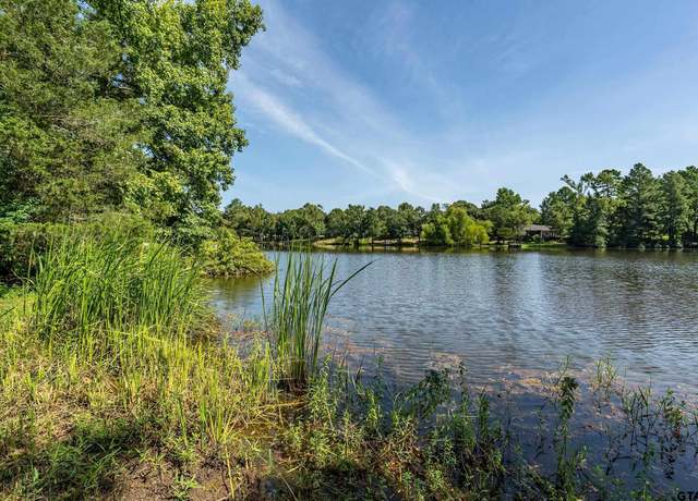 Property at 13165 Vicki Lynn Ln, Troup, TX 75789, 3 beds, 2 baths