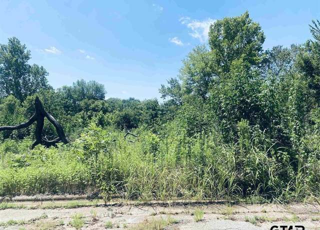 Property at 300 Nitz St, Troup, TX 75789