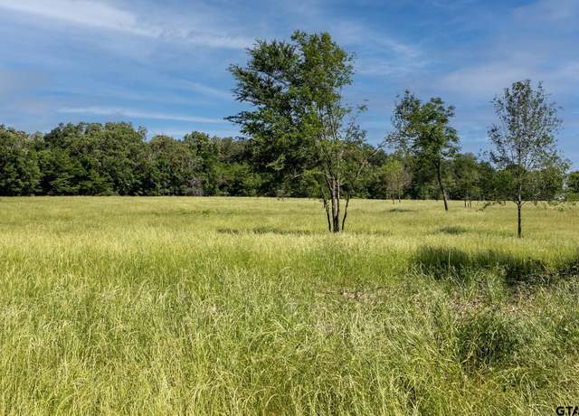 Property at TBD 003 VZ County Road 1805, Grand Saline, TX 75140