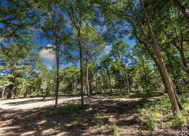 Property at 3160 N FM 346 Lot 4, Bullard, TX 75757