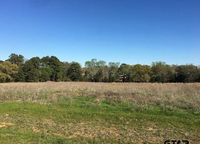 Property at 12721 Ridgeway Ct, Winona, TX 75792