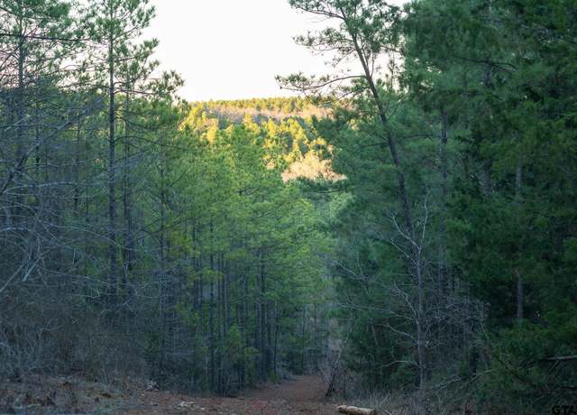 Property at South Tract Highway 64, Ben Wheeler, TX 75754