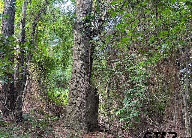 Property at TBD US Hwy 175 W, Jacksonville, TX 75766