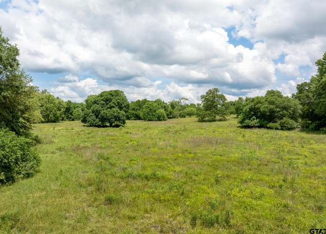 Property at TBD Fm 556, Gilmer, TX 75644