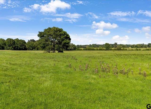 Property at 335 County Road 4802, Troup, TX 75789