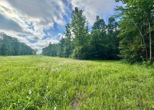 Property at TBD Cr 369, Winona, TX 75792