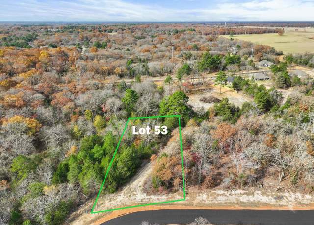 Property at TBD Pr 6305 Lot 53, Mineola, TX 75773