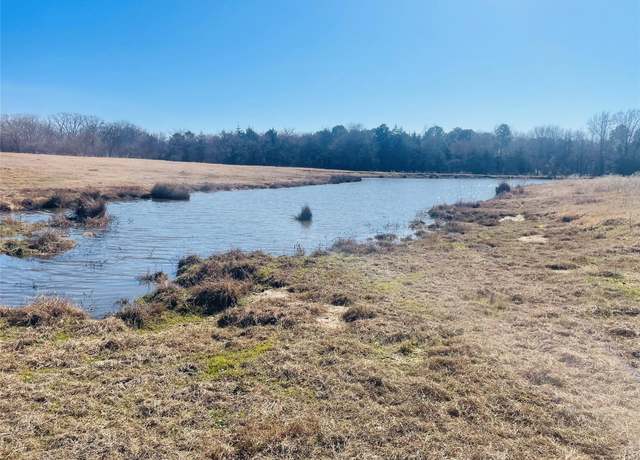 Property at 56 Acres County Road 2376, Winnsboro, TX 75494