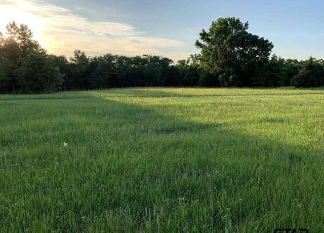 Property at 13167 (Lot 4) Cr 420, Tyler, TX 75704
