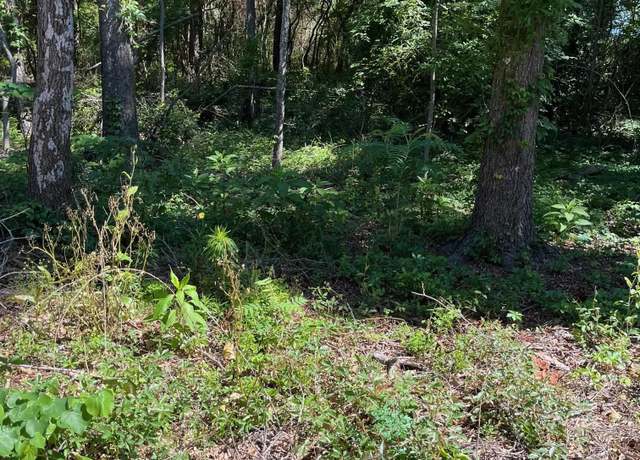 Property at TBD Fm 1801, Mineola, TX 75773
