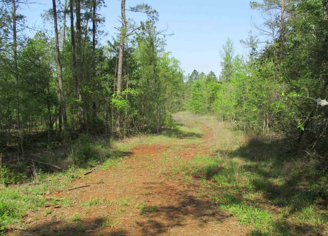 Property at 0000 S Cr 461, Laneville, TX 75667