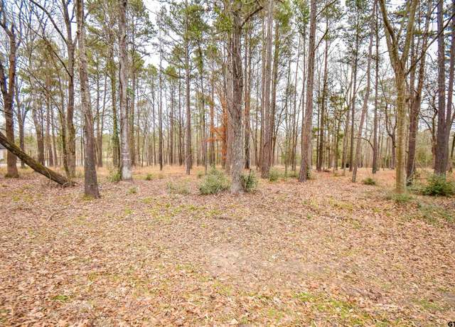 Property at 14881 Lake Meadow Ct, Tyler, TX 75707