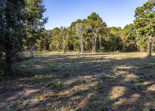 Property at 3155 Shadow Pine Dr Lot 77 & L8, Larue, TX 75770