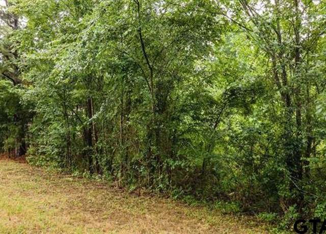 Property at Lot 46 Pr 7011, Frankston, TX 75763