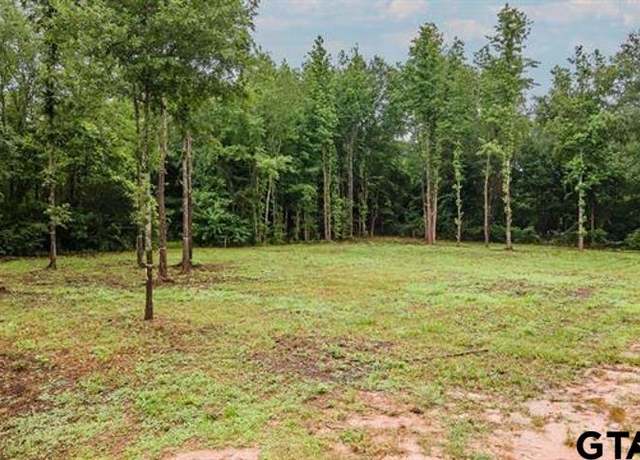 Property at Lot 49 Pr 7011, Frankston, TX 75763