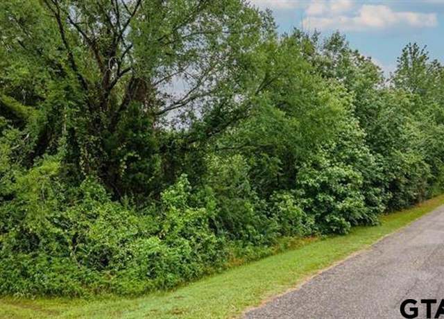 Property at Lot 43 A Cr 3009, Frankston, TX 75763