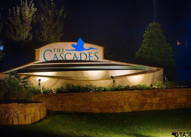 Property at 4463 Cascades Shoreline Dr, Tyler, TX 75709