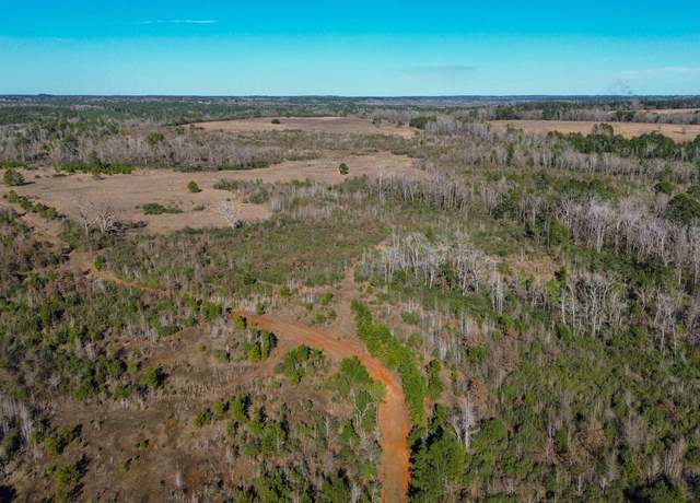Property at 000 Cr 2240, Grapeland, TX 75844