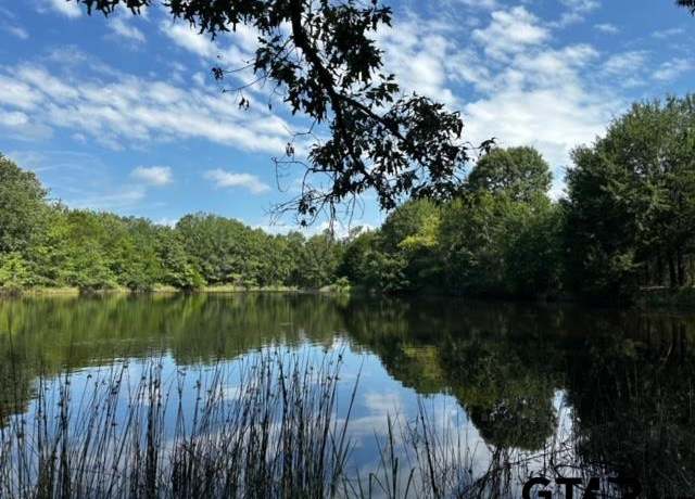 Property at TRACT F 306 Private Road 8507, Van, TX 75790