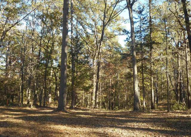 Property at 293 Pr 8585, Winnsboro, TX 75494