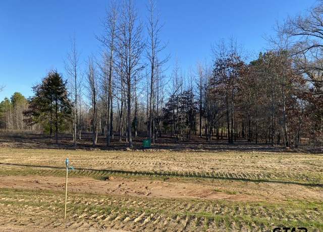 Property at 16737 Ridgeline Loop, Winona, TX 75792