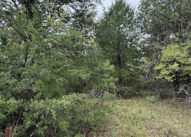 Property at TBD County Road 4620, Troup, TX 75789