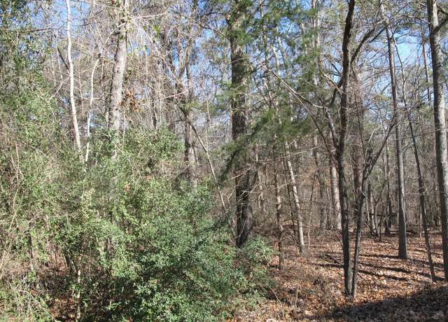 Property at to be determine County Rd 2337, Tyler, TX 75707
