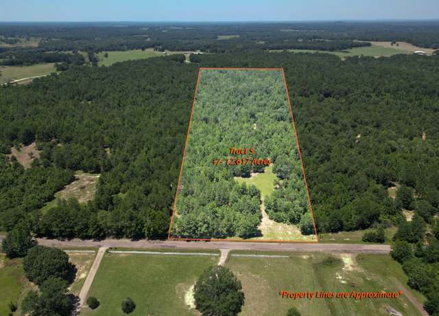 Property at TBD (23400) CR 244 Tract 5, Overton, TX 75684