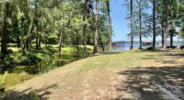 Photo of TBD Lot 4-r Acr 3009, Frankston, TX 75763
