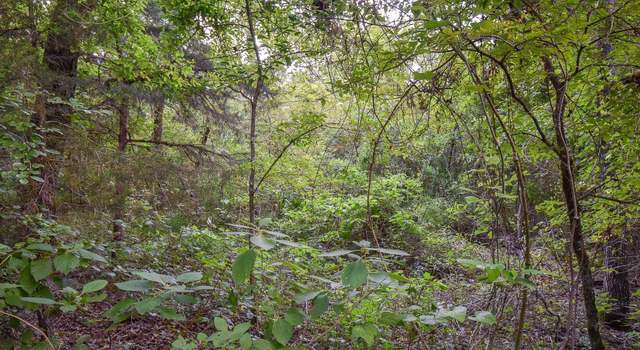 Photo of TBD Vz Cr 1703, Grand Saline, TX 75140
