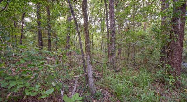 Photo of TBD Vz Cr 1703, Grand Saline, TX 75140