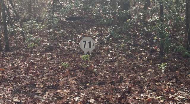Photo of TBD CR 3237 Lot 71a, Quitman, TX 75783